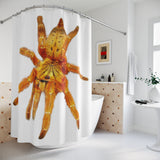 Orange Baboon tarantula Shower Curtains