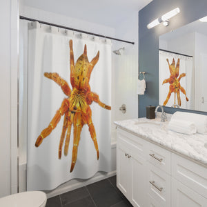 Orange Baboon tarantula Shower Curtains