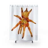 Orange Baboon tarantula Shower Curtains